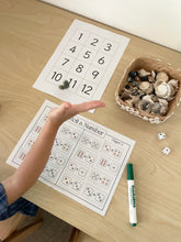 Load image into Gallery viewer, Roll a Number- Addition Game
