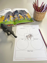 Load image into Gallery viewer, Eric Carle&#39;s Book of Amazing Animals Activity Pack
