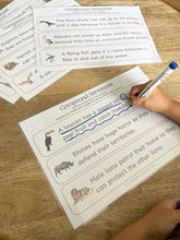 Load image into Gallery viewer, Eric Carle&#39;s Book of Amazing Animals Activity Pack

