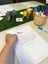 Load image into Gallery viewer, Eric Carle&#39;s Book of Amazing Animals Activity Pack
